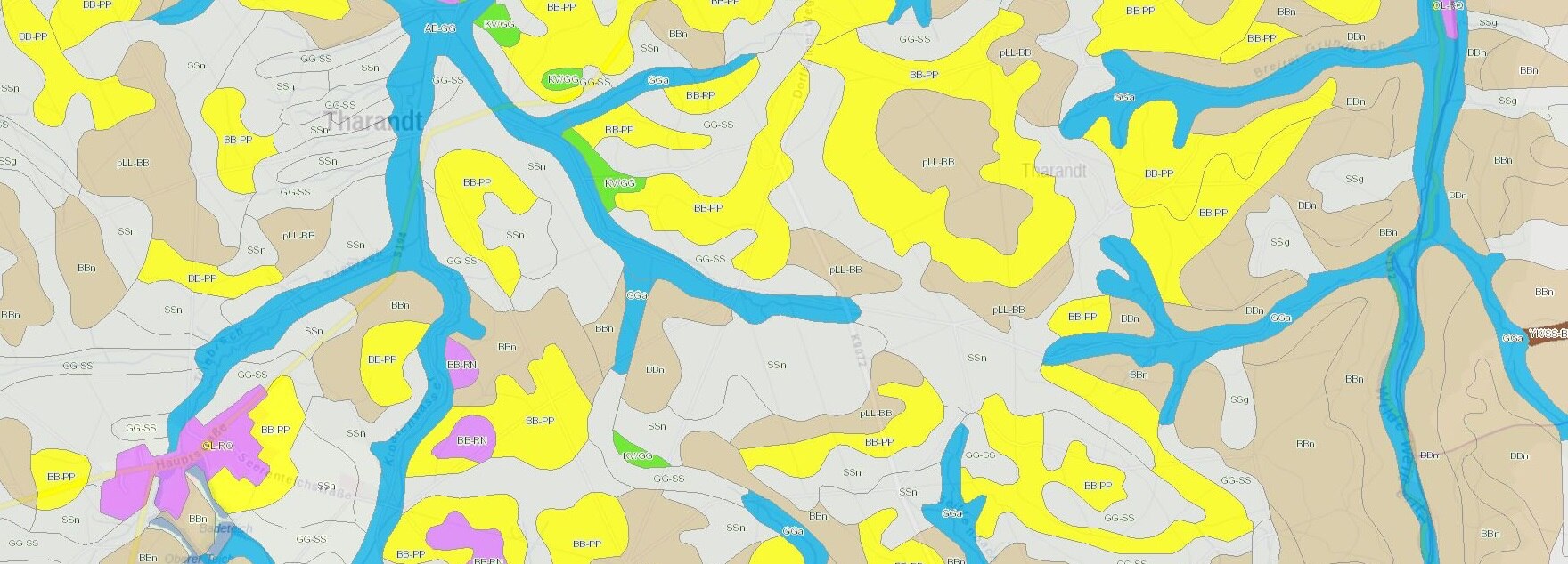 Dargestellt ist im Hintergrund eine topographische Karte, überlagert durch die Bodenkarte mit farbiger Signatur. Es sind Polygone zu sehen, die mit dem Kürzel des Leitbodentyps beschriftet sind.