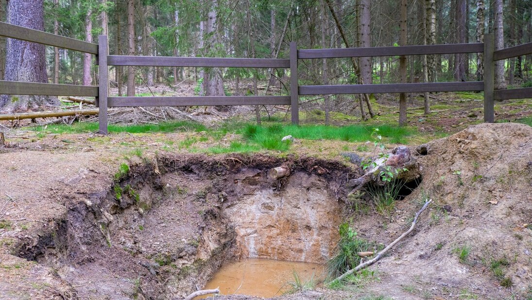 Im Vordergrund ist eine Bodenprofilgrube eines Stauwasserbodens zu sehen, umrandet mit einem braunen Geländer, dahinter Wald.