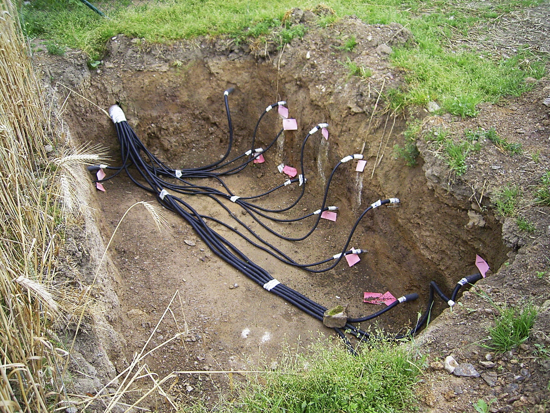 Das Bild zeigt einen Schurf mit installierten Bodenfeuchtesensoren.