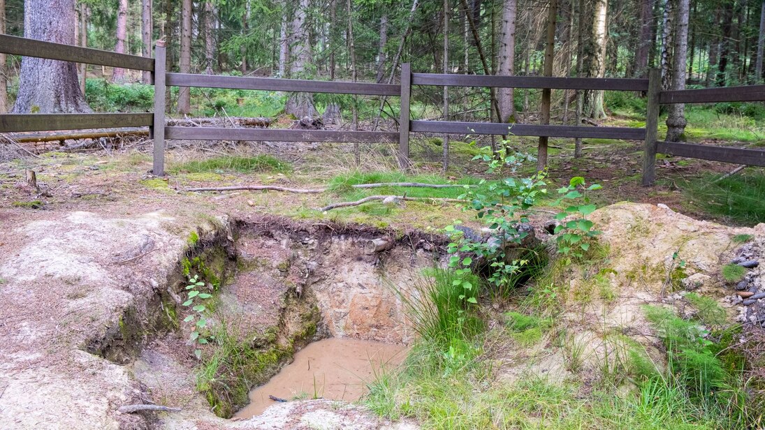 Das Foto zeigt eine Bodenprofilgrube im Wald. In dieser steht Regenwasser. Die Grube ist umgeben von krautiger Vegetation und mit einem braunen Geländer umrandet.