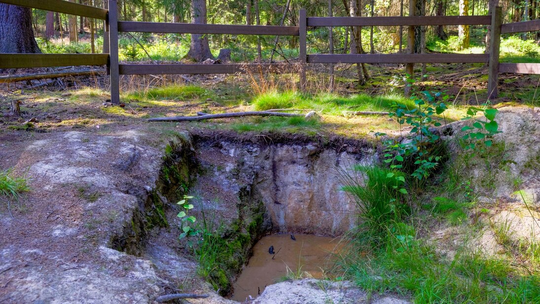 Das Foto zeigt eine Bodenprofilgrube, die mit einem braunen Geländer eingefasst ist. In der Bodenprofilgrube steht braun gefärbtes Wasser und am Rand wächst Gras und Schachtelhalm.