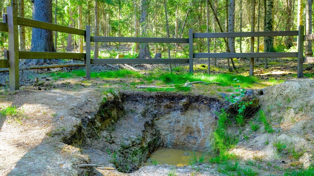 Bodenprofilgrube eines Stauwasserbodens mit darin stehendem Wasser, dahinter ein braunes Geländer und im Hintergrund Bäume.