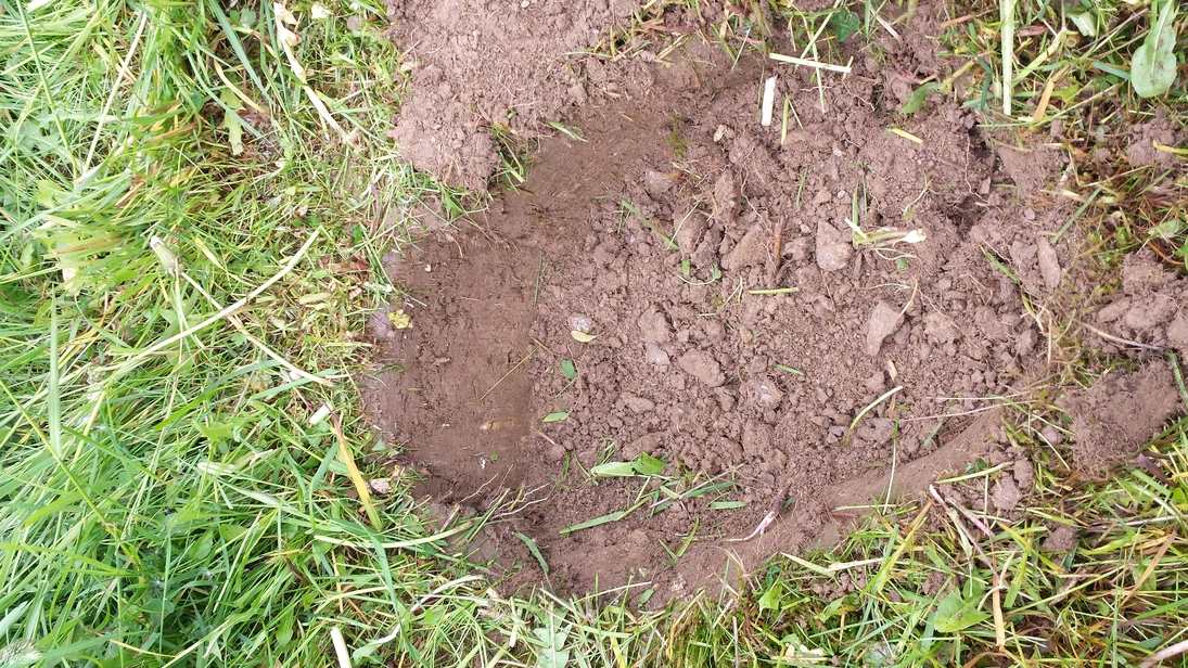 Bodenprobe im Gras