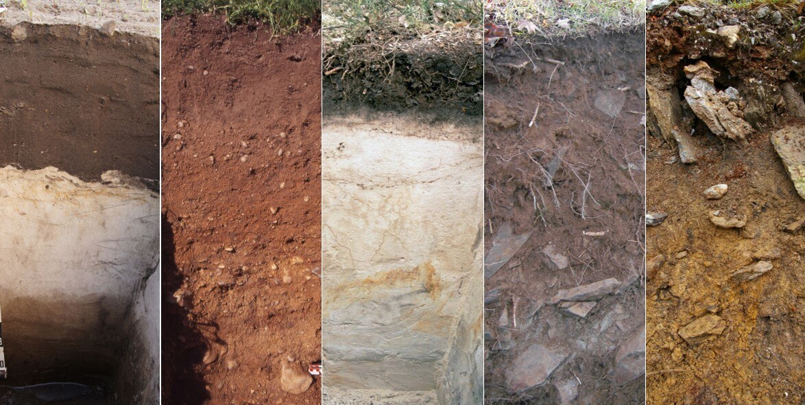 Das Bild zeigt verschiedene Bodenprofile.