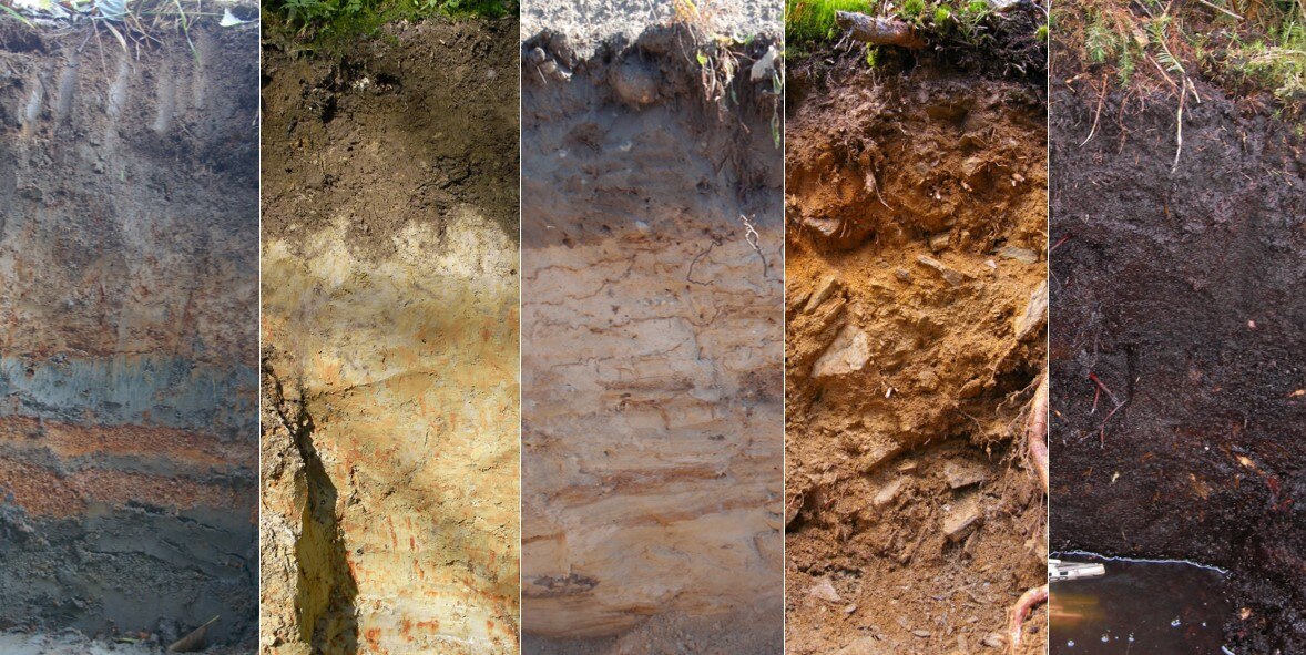 Das Bild zeigt verschiedene Bodenprofile.