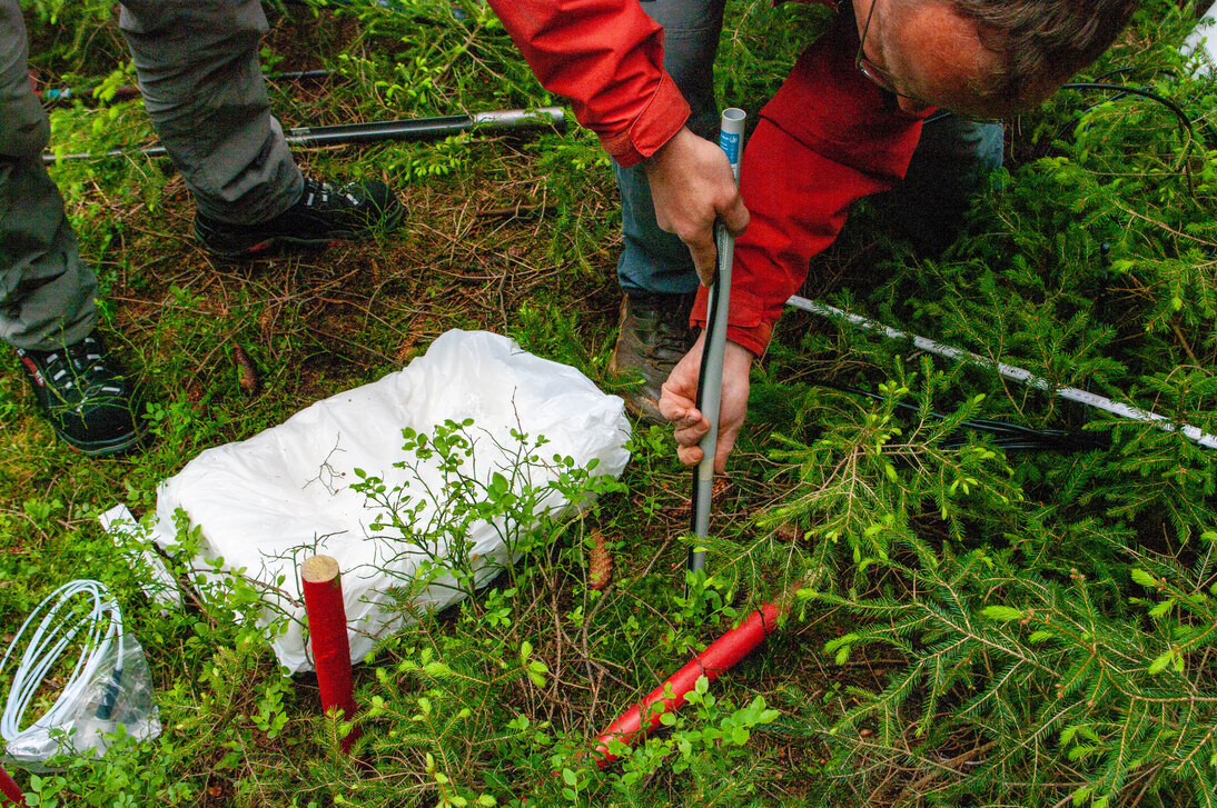 Person schiebt Stab des Tensiometers in den Waldboden