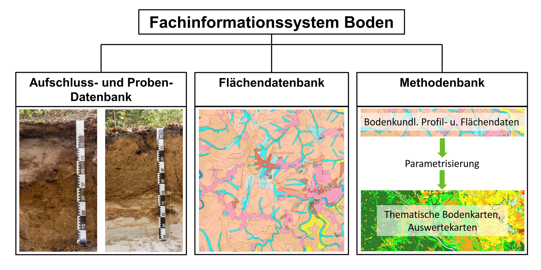 Struktur des FIS Boden