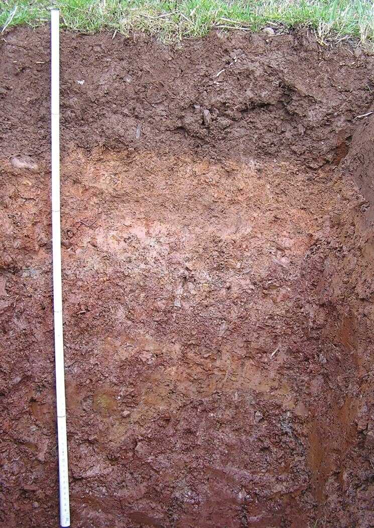 Das Bild zeigt eine Braunerde über Fersiallit.