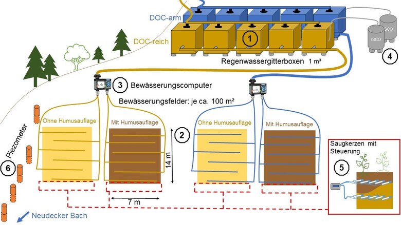 Skizze zum Aufbau der Maßnahme 2