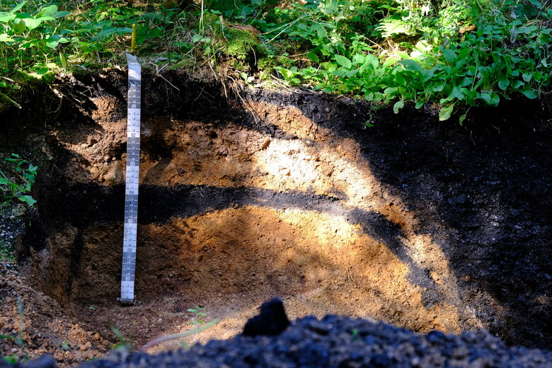 Das Bild zeigt einen mittelalterlichen Holzkohlemeiler bei Sosa
