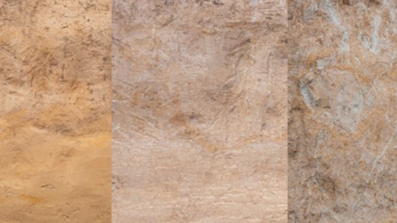 Das Bild zeigt Lössböden in Mitteldeutschland.