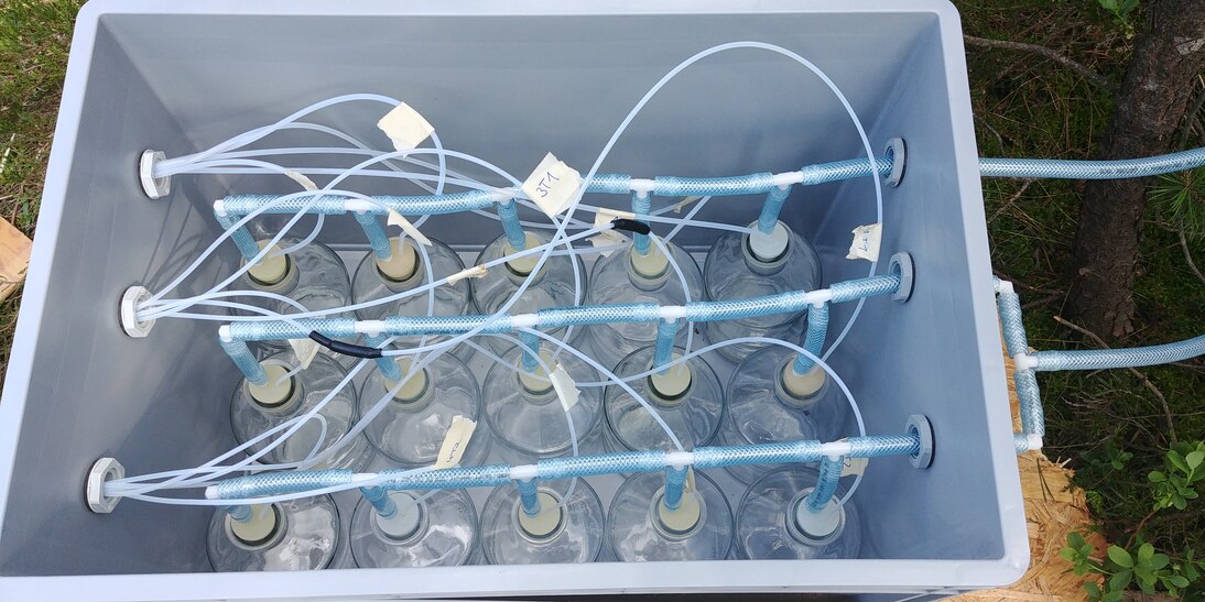 Geöffnete Plastikkiste mit 15 Glasflaschen, zu denen dünne Schläuche führen