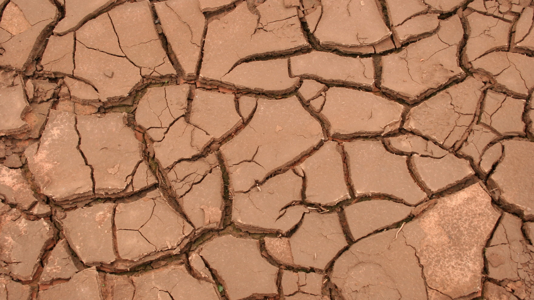 Braune Bodenoberlfläche mit vielen Rissen durch Trockenheit.
