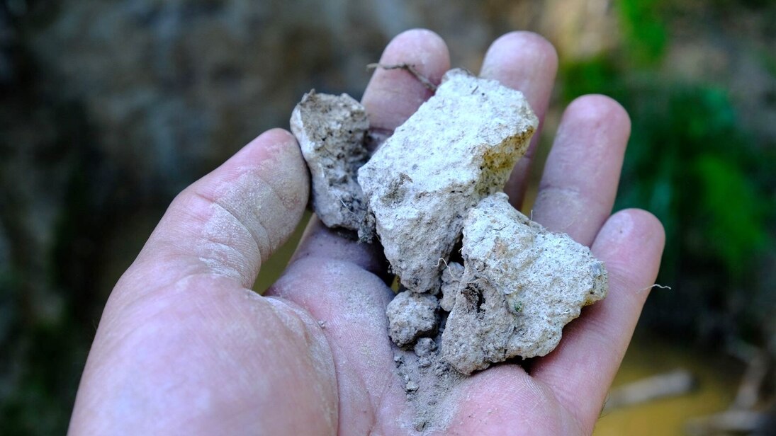 Drei größere, trockene Klumpen hellen Bodenmaterials in einer Hand, unscharf im Hintergrund eine Bodenprofilwand.