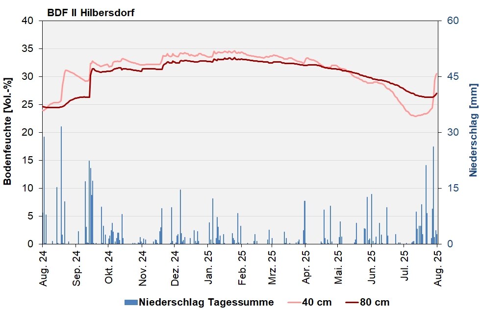 Abb. 1: BDF II Hilbersdorf – Verlauf der Bodenfeuchten [Vol.-%, Tagesdurchschnitte] und der Niederschläge als Tagessummen [mm] in den letzten 12 Monaten.