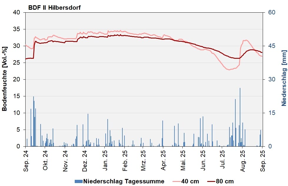 Die Grafik zeigt den Verlauf der Bodenfeuchten und der Niederschläge als Tagessummen in den letzten 12 Monaten.