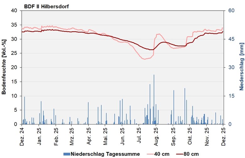 Das Bild zeigt den Verlauf der Bodenfeuchten und der Niederschläge als Tagessummen in den letzten 12 Monaten.