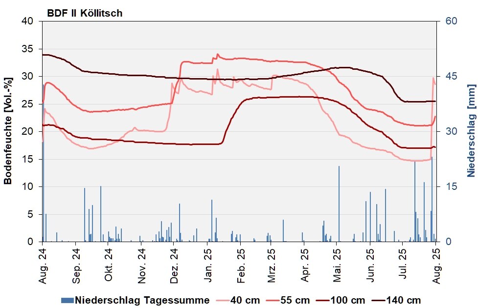 Abb. 2: BDF II Köllitsch – Verlauf der Bodenfeuchten [Vol.-%, Tagesdurchschnitte] und der Niederschläge als Tagessummen [mm] in den letzten 12 Monaten.