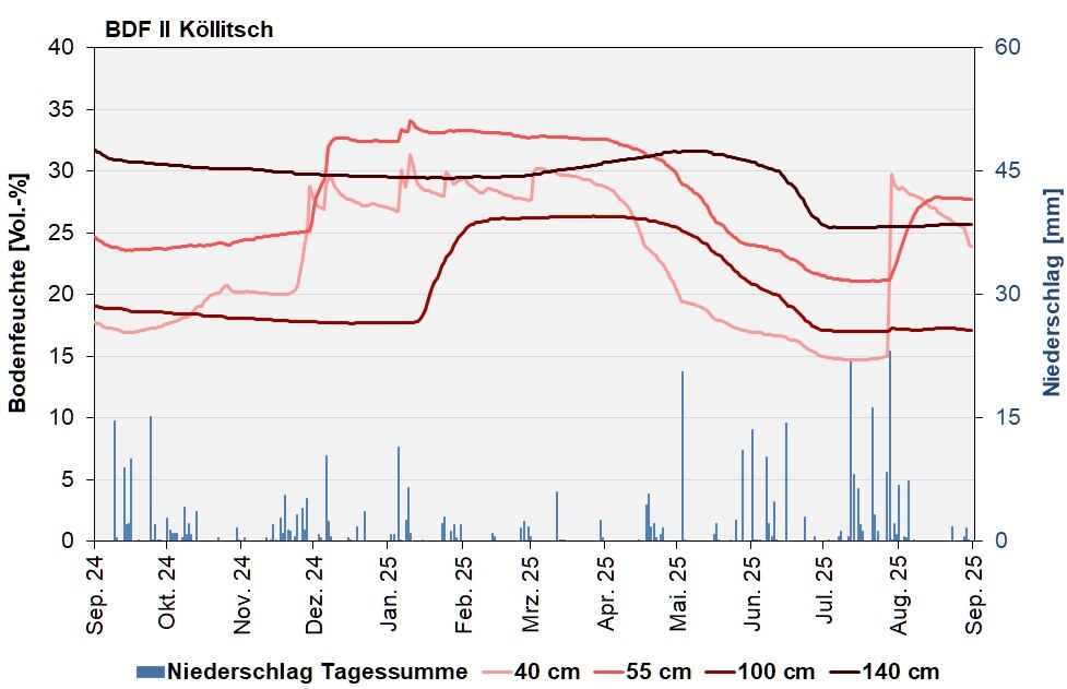 Die Grafik zeigt den Verlauf der Bodenfeuchten und der Niederschläge als Tagessummen in den letzten 12 Monaten.