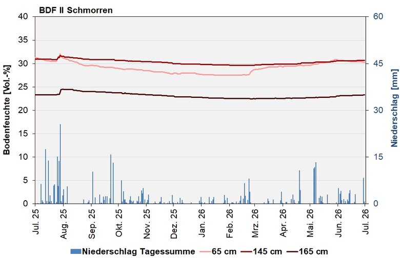Das Bild zeigt den Verlauf der Bodenfeuchten und Niederschlagssummen in den letzten 12 Monaten.