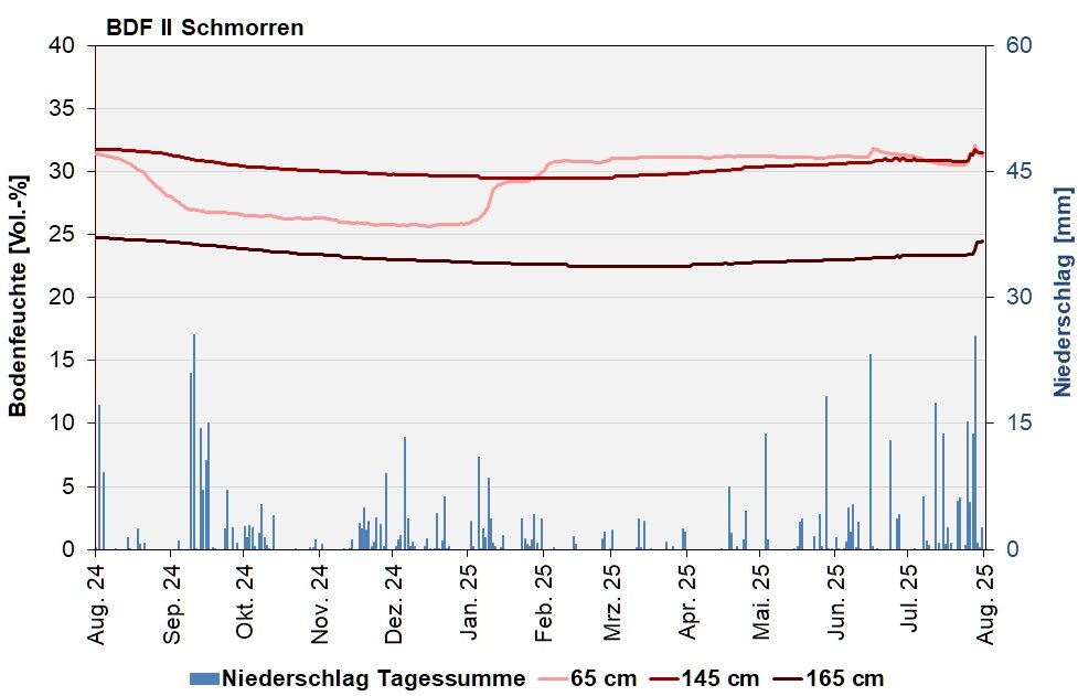 Abb. 3: BDF II Schmorren – Verlauf der Bodenfeuchten [Vol.-%, Tagesdurchschnitte] und der Niederschläge als Tagessummen [mm] in den letzten 12 Monaten.