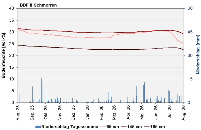 Das Bild zeigt den Verlauf der Bodenfeuchten und Niederschlagssummen in den letzten 12 Monaten.