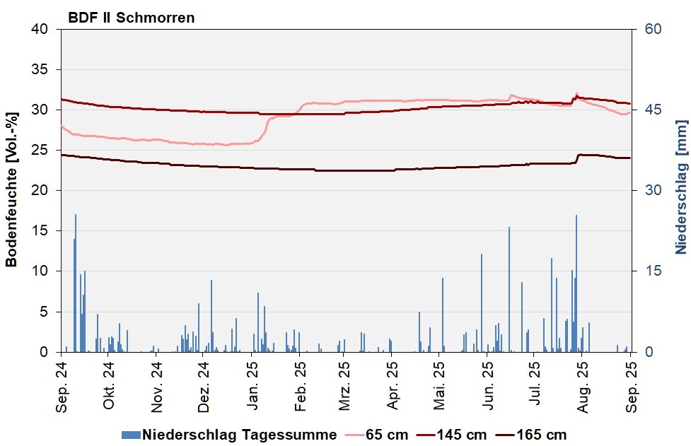 BDF II Schmorren – Verlauf der Bodenfeuchten [Vol.-%, Tagesdurchschnitte] und der Niederschläge als Tagessummen [mm] in den letzten 12 Monaten.