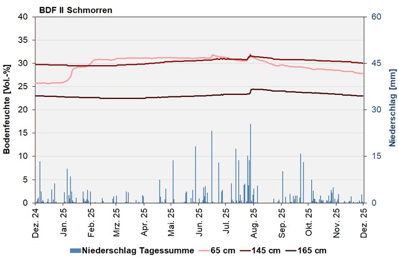 Das Bild zeigt den Verlauf der Bodenfeuchten und der Niederschläge als Tagessummen in den letzten 12 Monaten.
