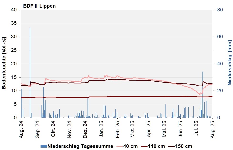 Abb. 4: BDF II Lippen – Verlauf der Bodenfeuchten [Vol.-%, Tagesdurchschnitte] und der Niederschläge als Tagessummen [mm] in den letzten 12 Monaten.