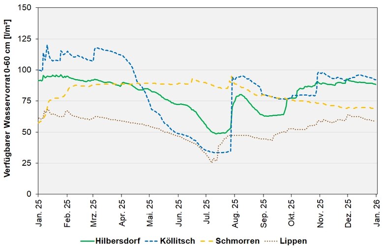 Das Bild zeigt den absolut pflanzenverfügbaren Wasservorrat in l/m² im effektiven Wurzelraum an den BDF-II-Stationen in den letzten 12 Monaten