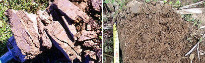 Bild links: Plattengefefüge im Oberboden (ungünstig); Bild rechts: Mischgefüge aus Krümeln und Bröckeln (günstig)