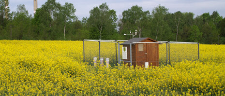 Station für Bodenmonitoring in Rapsfeld