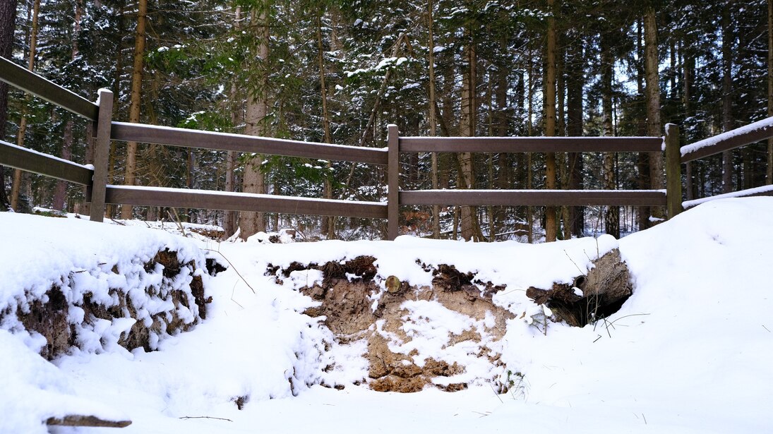 Foto: Ein Bodenprofil im Wald mit Schnee bedeckt und Bäumen im Hintergrund.