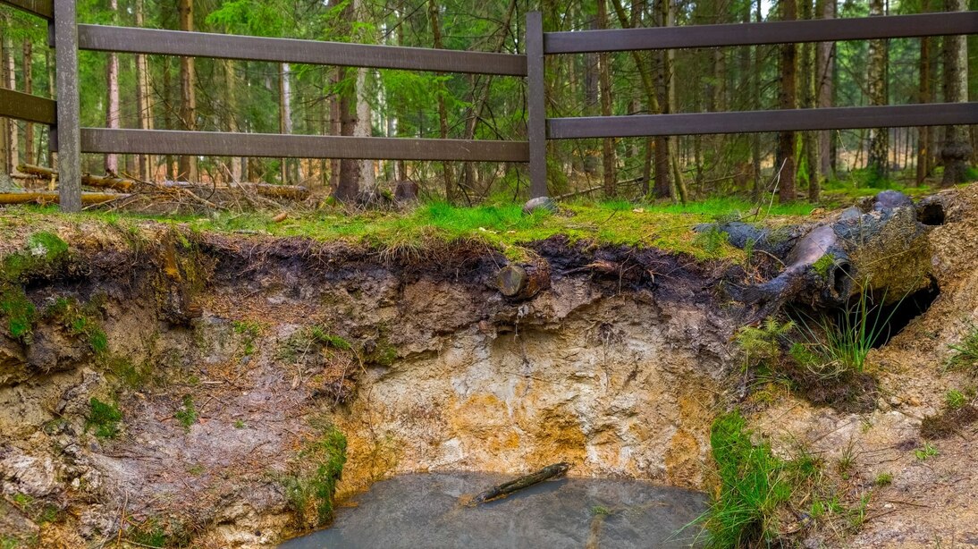 Profilgrube eines Stauwasserbodens mit gestautem Wasser im Vordergrund und Geländer im Hintergrund