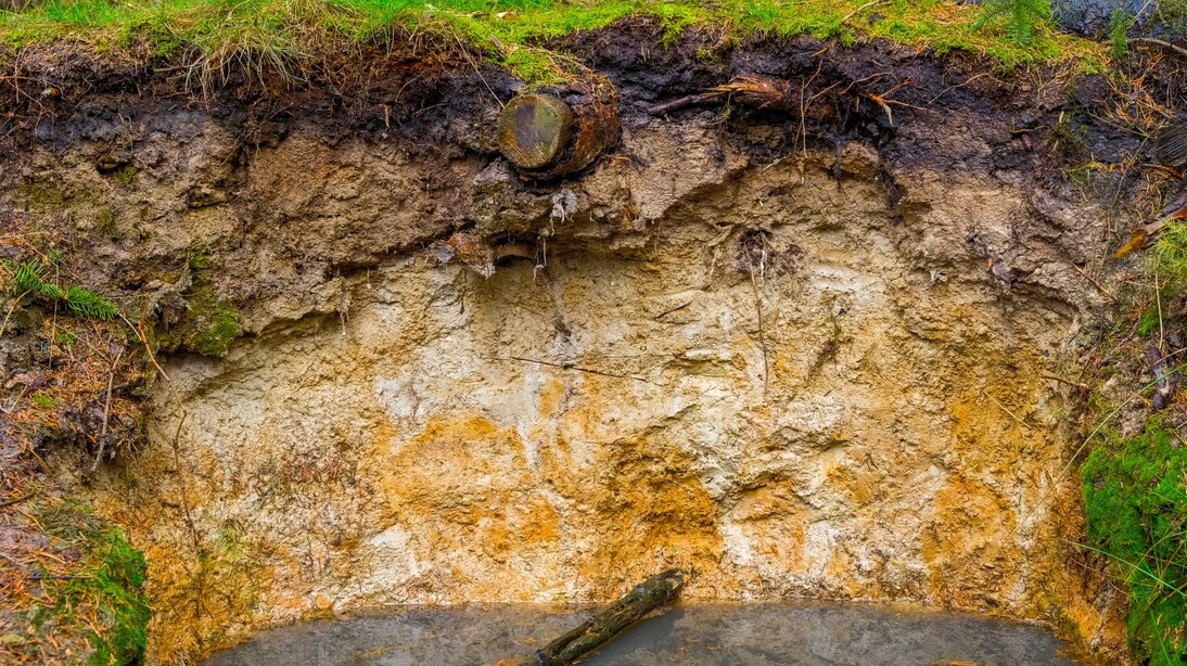 Bodenprofilwand eines Stauwasserbodens mit ausgebleichten Flecken und Marmorierung sowie Stauwasser im Vordergrund.