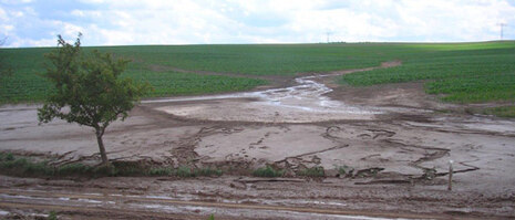 angeschwemmter Boder auf Feld