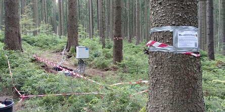 Das Bild zeigt eine Messeinrichtung zur Bodenhydrologie im Wald. Zu sehen sind im gesamten Bild Fichtenstämme, auf dem Waldboden junge Fichten und dazwischen eine Bodengrube, aus der verschiedene Kabel heraus in einen Schaltschrank laufen.