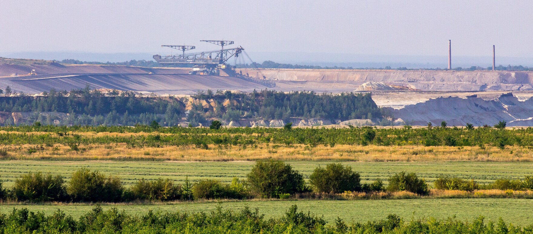 Kippenboden, Boden des Jahres 2019