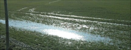 Foto: Verdichtung mit Stauwasser (Quelle: Sächsische Landesanstalt für Landwirtschaft)