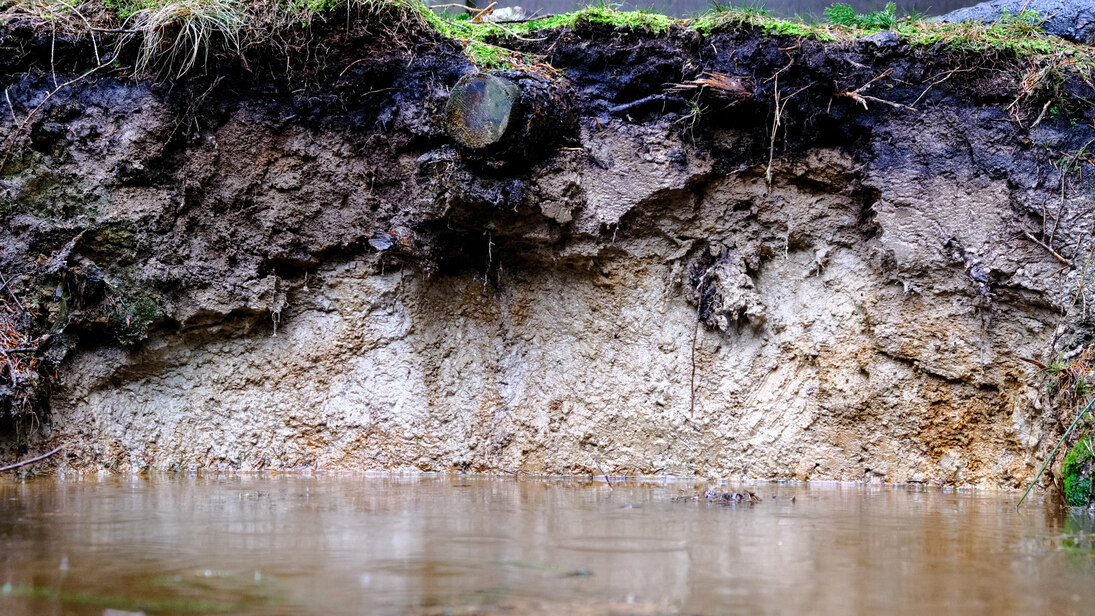 Foto: Eine Bodenprofilwand, vor der gestautes Niederschlagswasser steht auf deren Oberfläche Regentropfen zu sehen sind.