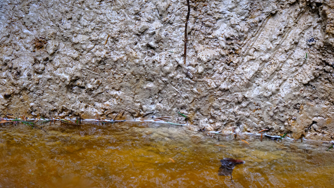 Foto: Ausschnitt einer Bodenprofilwand mit durch Nässe verschmierten Bodenpartikeln und im Vordergrund gestautem Niederschlagswasser.