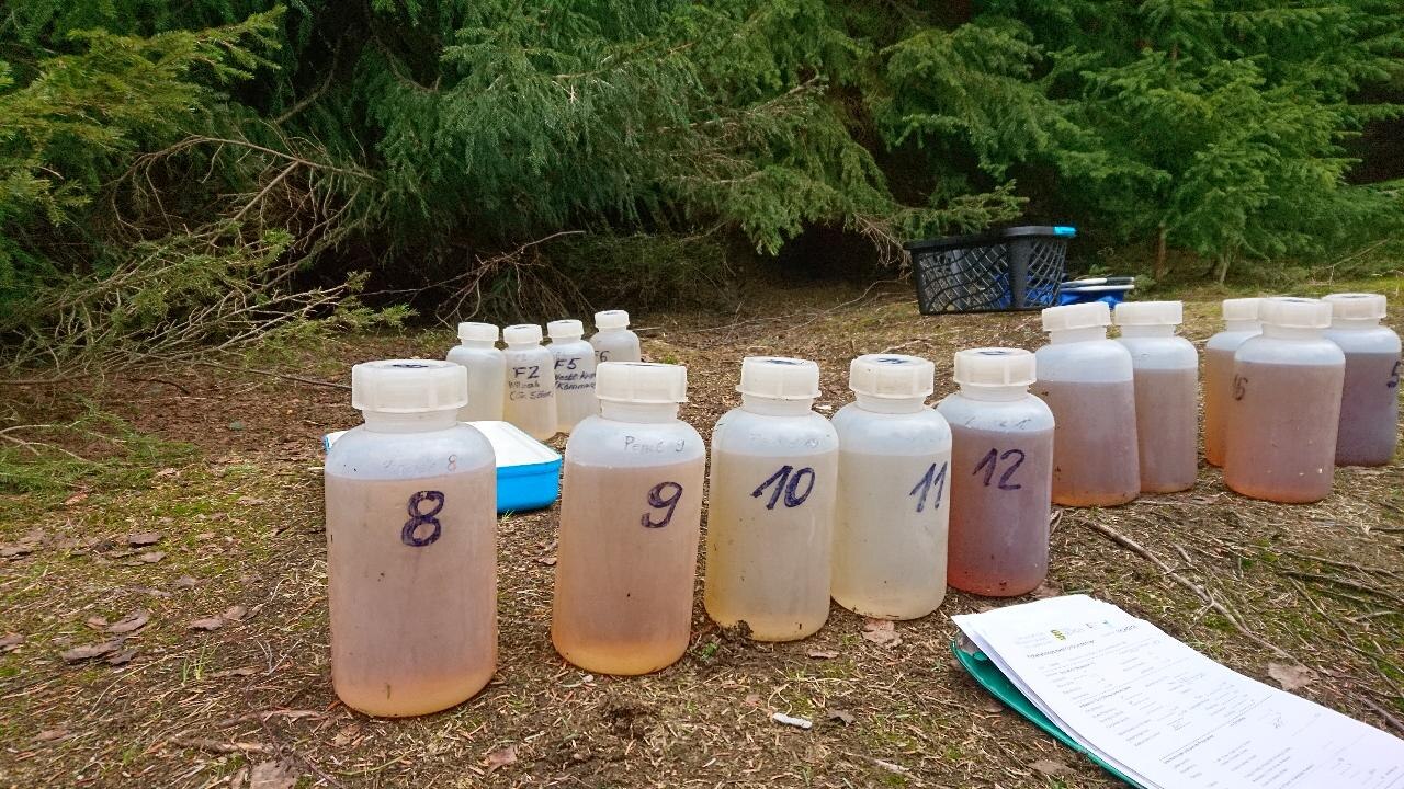 Das Bild zeigt nummerierte weiße Plastikflaschen, gefüllt mit braunem Wasser auf dem Waldboden stehend. Daneben liegt ein Probenprotokoll.