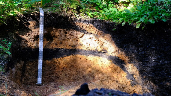 Das Bild zeigt einen mittelalterlichen Holzkohlemeiler bei Sosa.